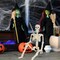 36 Inch Skeleton Halloween Decor, Halloween Skeleton with Movable Joint, Skeleton for Halloween Haunted House Accessories Bar Graveyard, Party Supplies, Halloween Decoration Outdoor Skeleton
